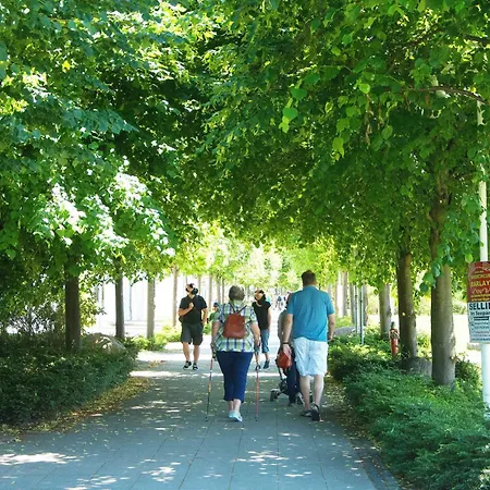 Appartement Kajuete 1 Im Selliner Seepark Ostseebad Zentral